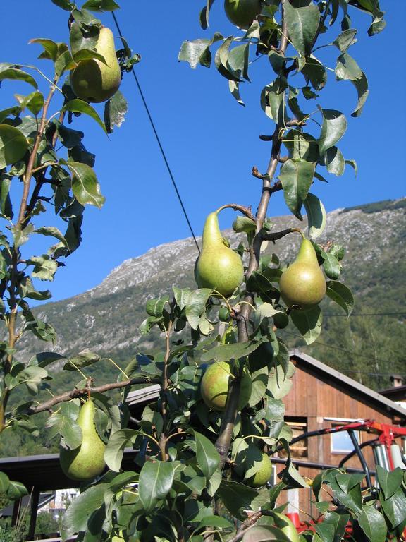 Tourist Farm Zvanc Kobarid Εξωτερικό φωτογραφία